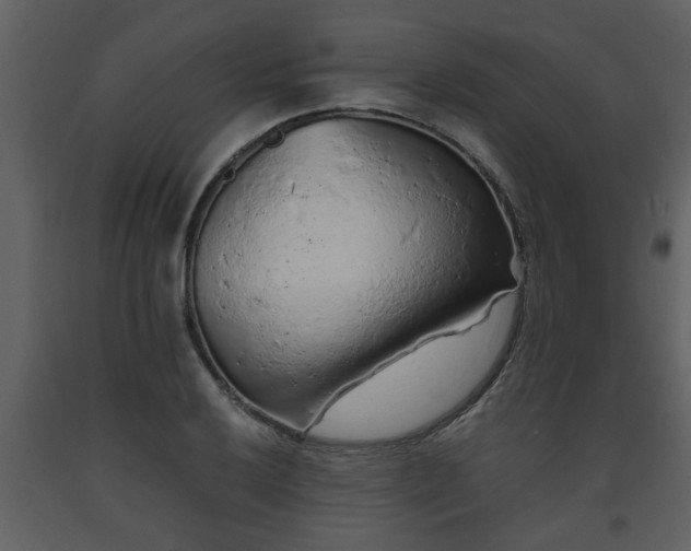X0000093441032200710191036