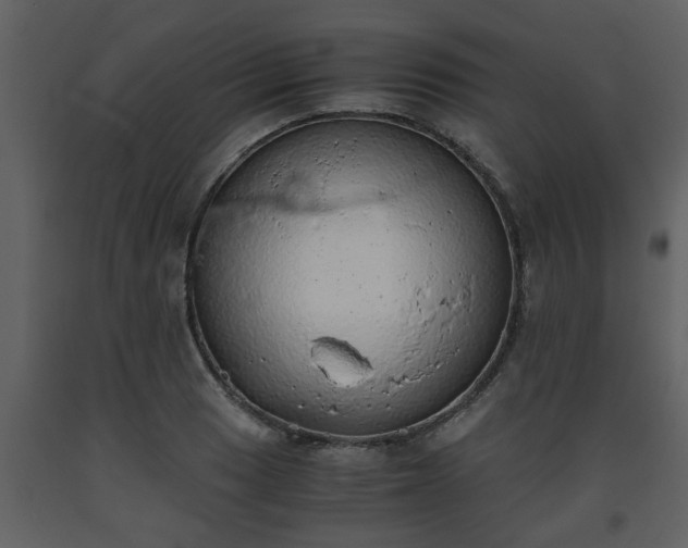 X0000093441033200710191036