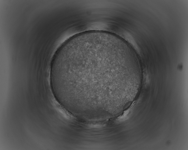 X0000093441035200710191036