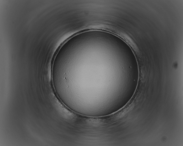 X0000093441036200710191036