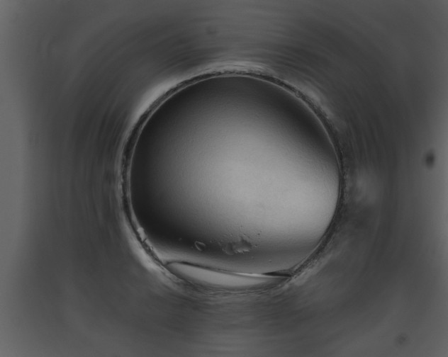 X0000093441038200710191036