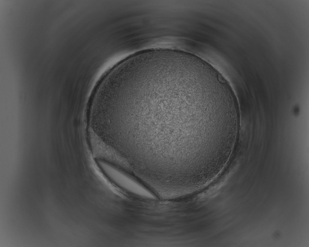 X0000093441045200710191036