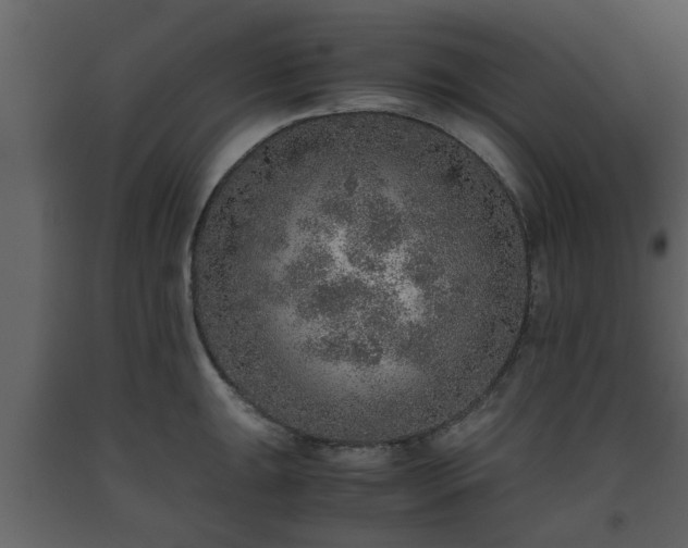 X0000093441047200710191036
