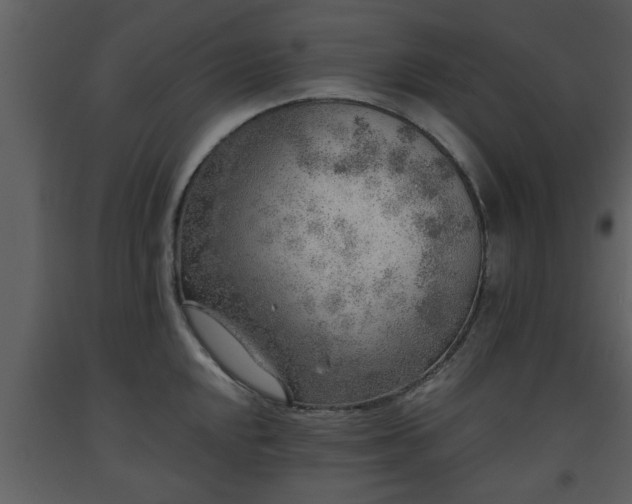 X0000093441048200710191037