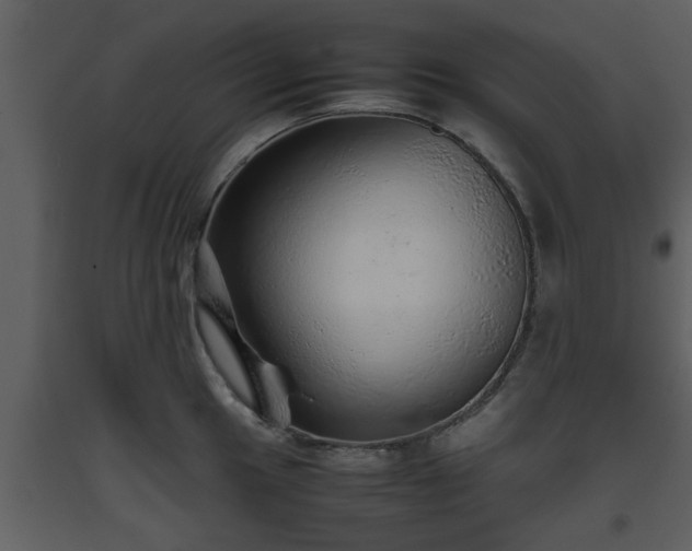 X0000093441049200710191037
