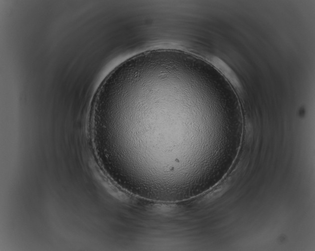X0000093441052200710191037