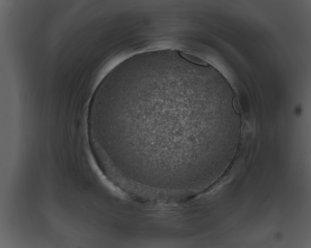 X0000093441055200710191037