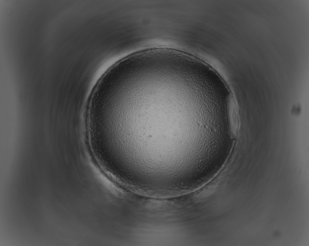 X0000093441056200710191037