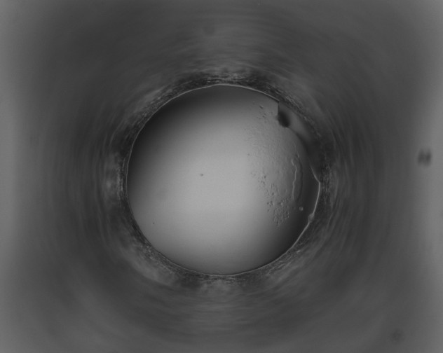 X0000093441058200710191036