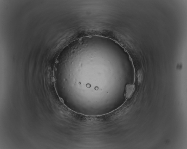 X0000093441059200710191036