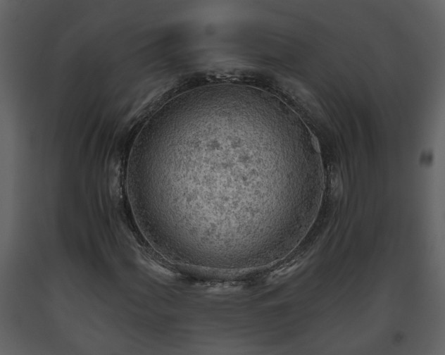 X0000093441060200710191036