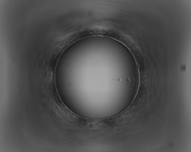 X0000093441061200710191036