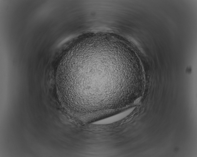 X0000093441063200710191036