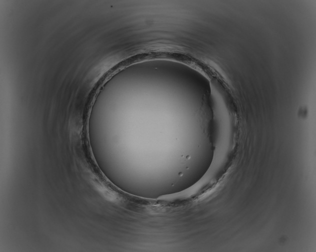 X0000093441065200710191036