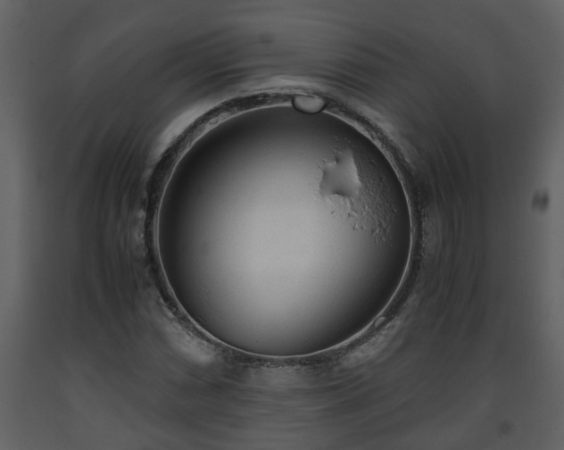 X0000093441066200710191036