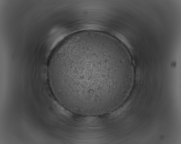 X0000093441067200710191036