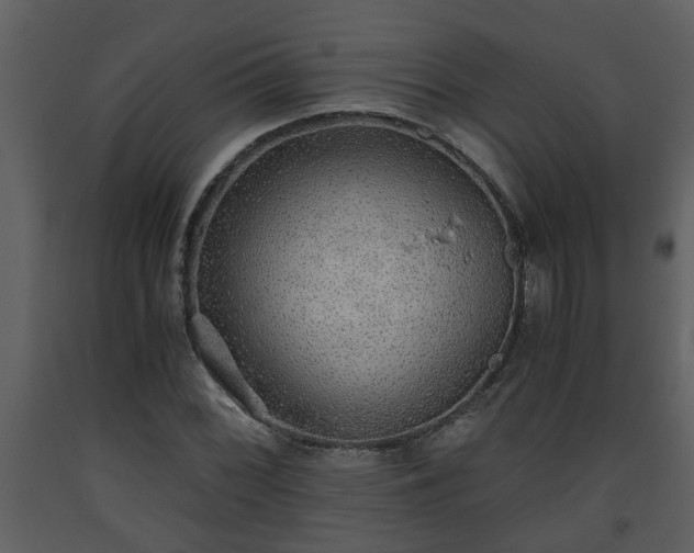 X0000093441068200710191036