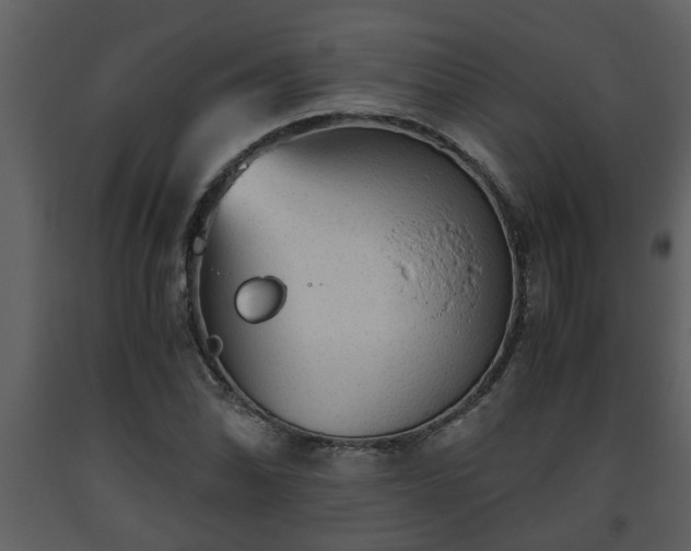 X0000093441070200710191035