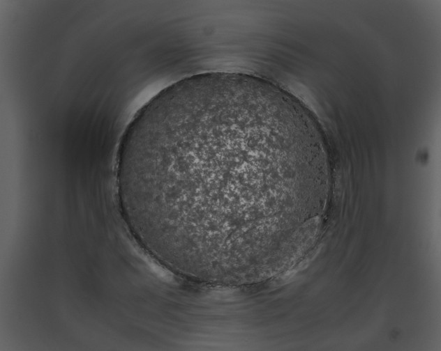 X0000093441071200710191035