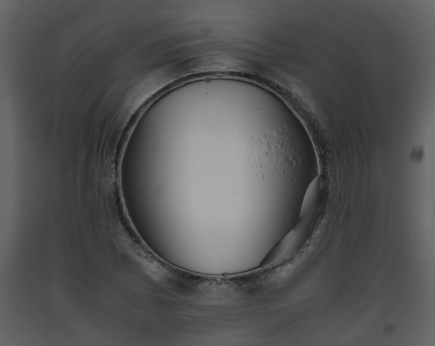 X0000093441073200710191035