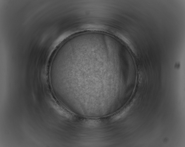 X0000093441074200710191035