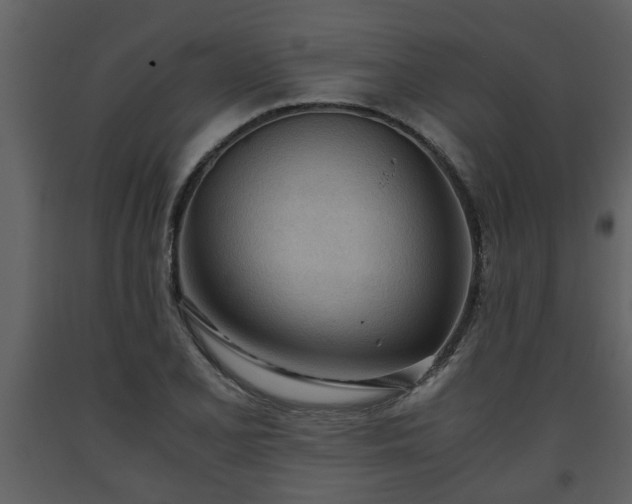 X0000093441077200710191035
