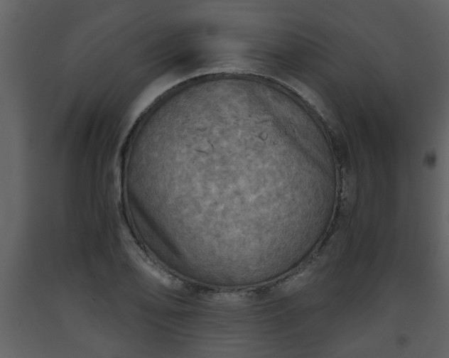 X0000093441078200710191035