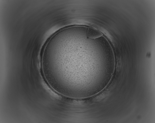 X0000093441080200710191035