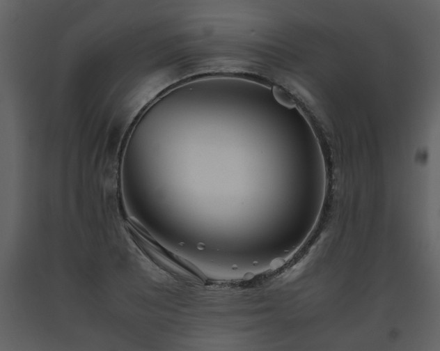X0000093441081200710191035