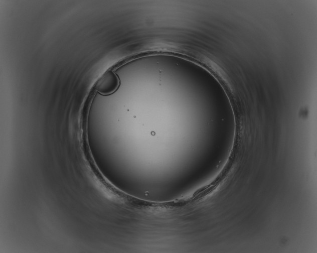X0000093441082200710191035