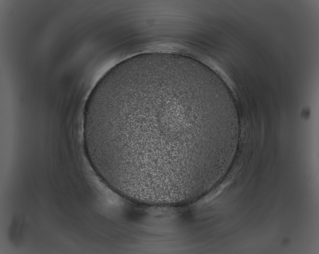 X0000093441083200710191035