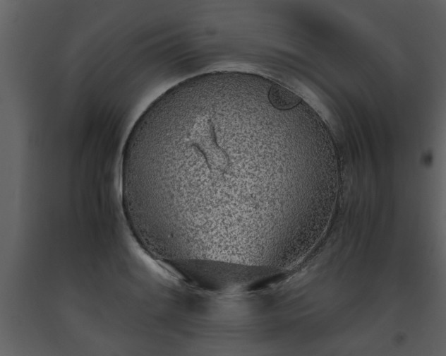 X0000093441084200710191035
