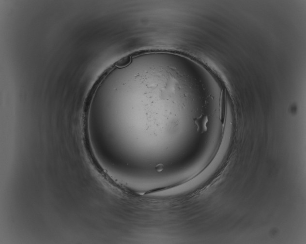 X0000093441085200710191035