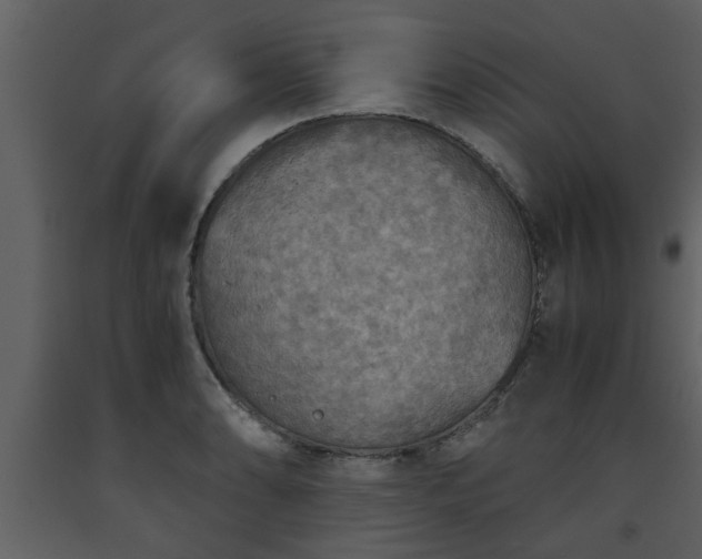 X0000093441086200710191035
