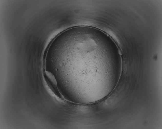 X0000093441088200710191035