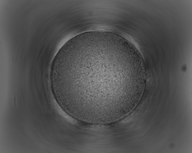 X0000093441091200710191035