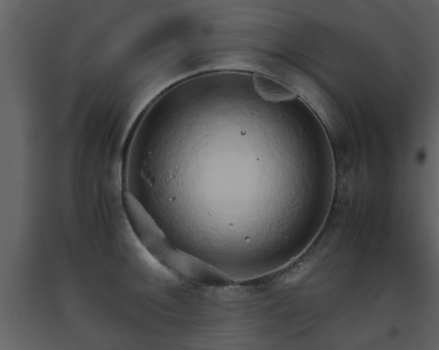 X0000093441092200710191035