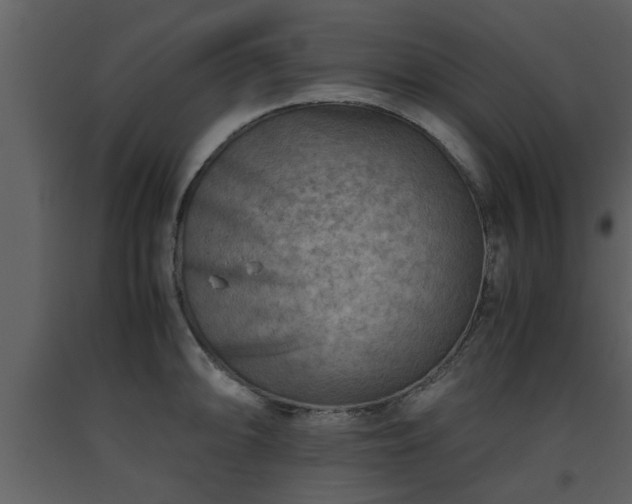 X0000093441094200710191035