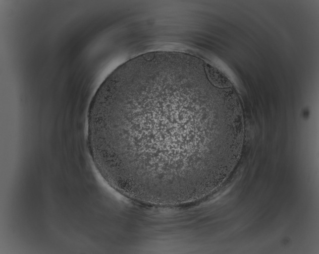 X0000093441095200710191035