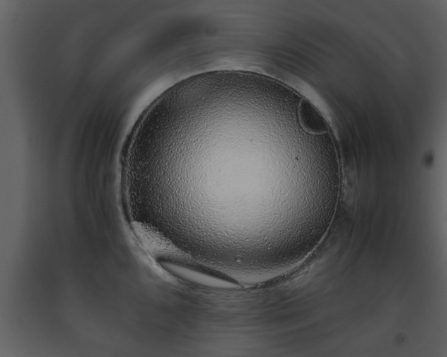 X0000093441096200710191035