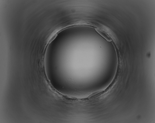 X0000093441097200710191035