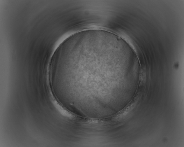X0000093441098200710191035
