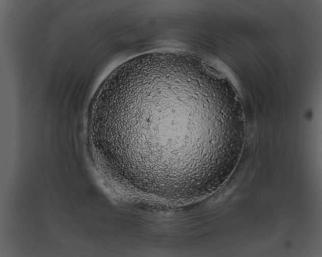 X0000093441099200710191035