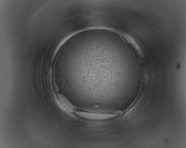 X0000093441100200710191035