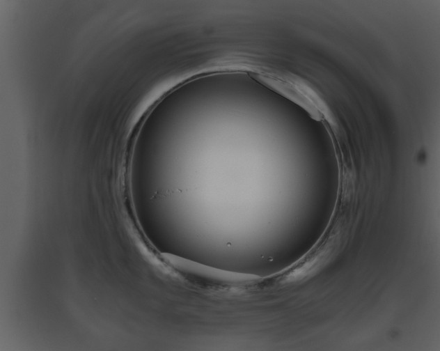 X0000093441101200710191035