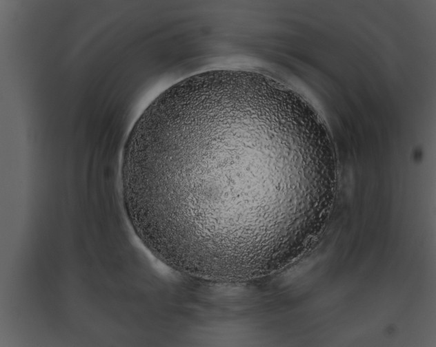 X0000093441103200710191035