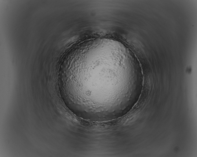 X0000093441105200710191034