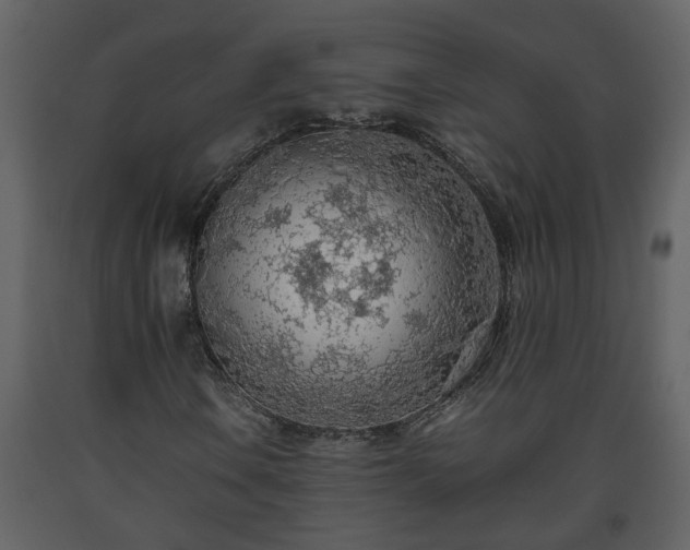 X0000093441106200710191034