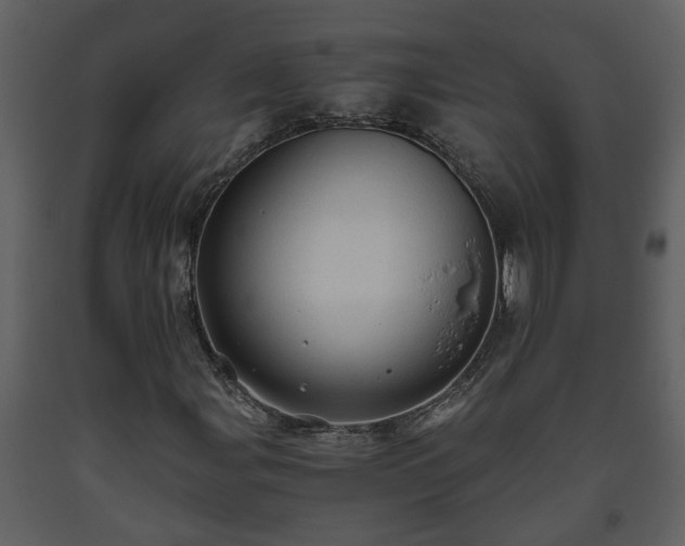 X0000093441107200710191034