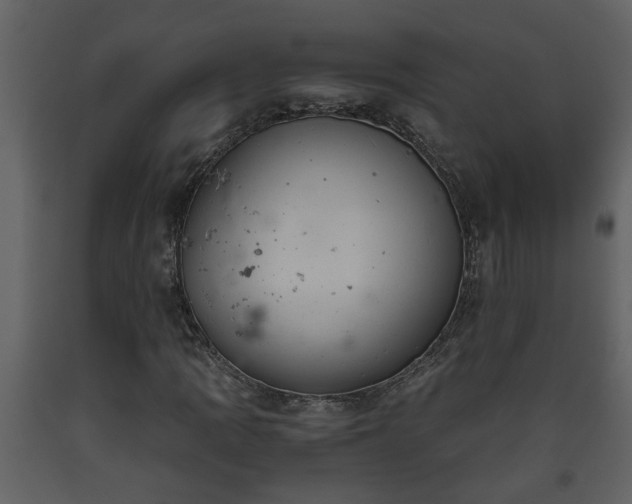 X0000093441109200710191034